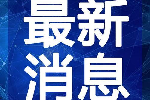 瑞阳幼儿园爆料视频最新,揭秘幼儿园内幕,家长震惊不已!